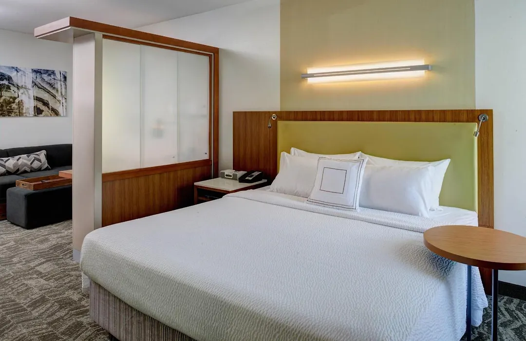 Springhill Suites By Marriott Saginaw-1