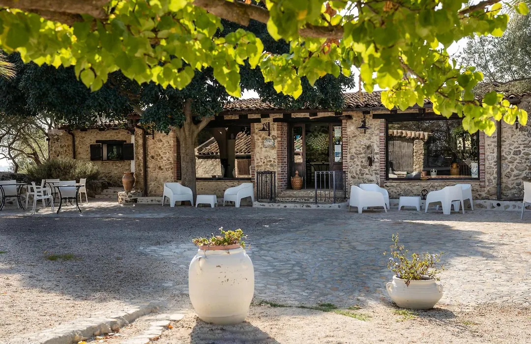 Roba Degli Ulivi-1