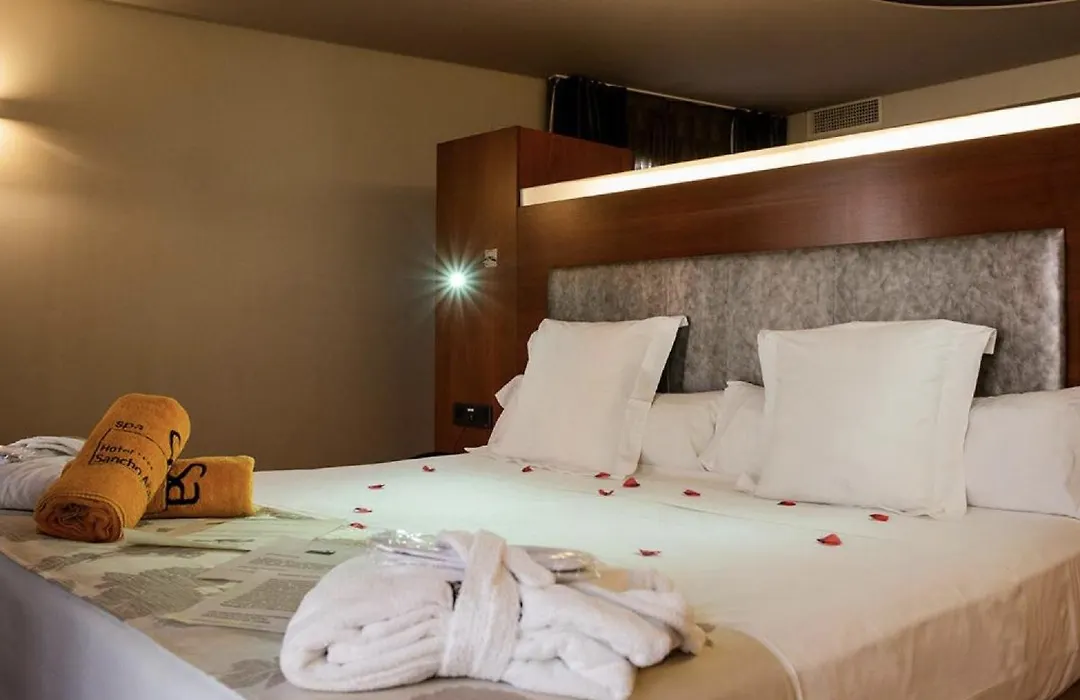 Hotel Sancho Abarca-1