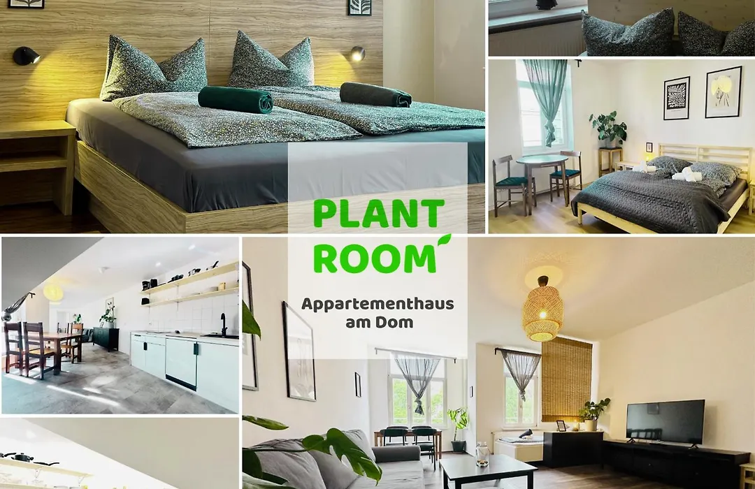 Apartmenthaus am Dom - Küche, Wifi, TV-1