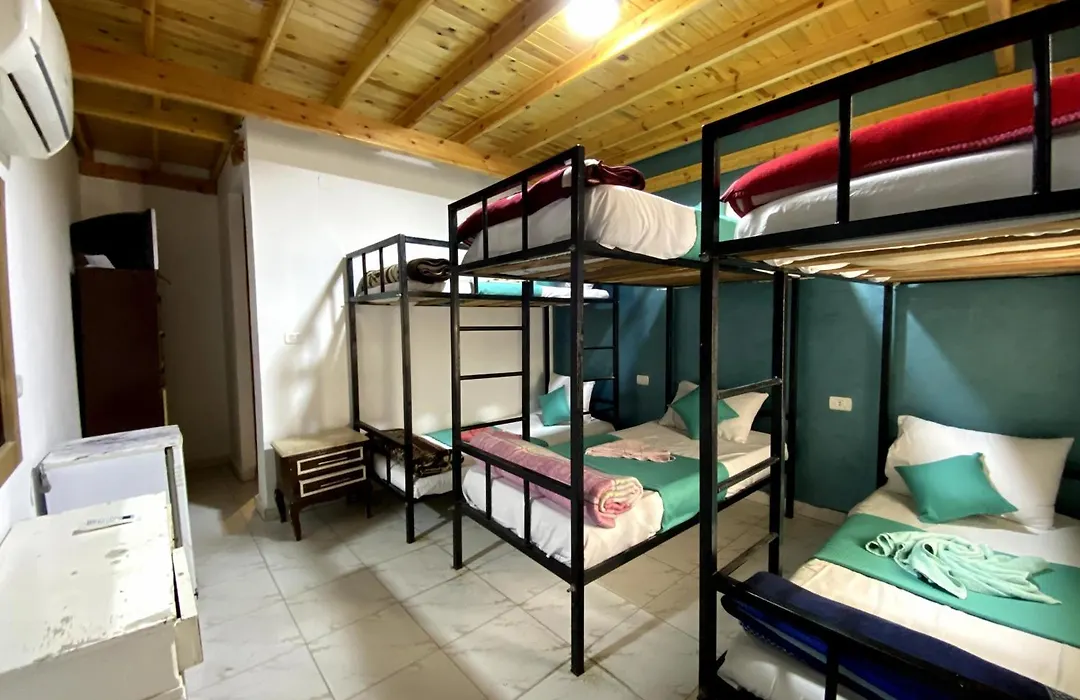 Octopus Hotel-1