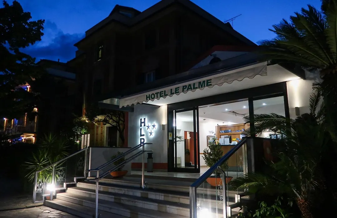 Hotel Le Palme-1