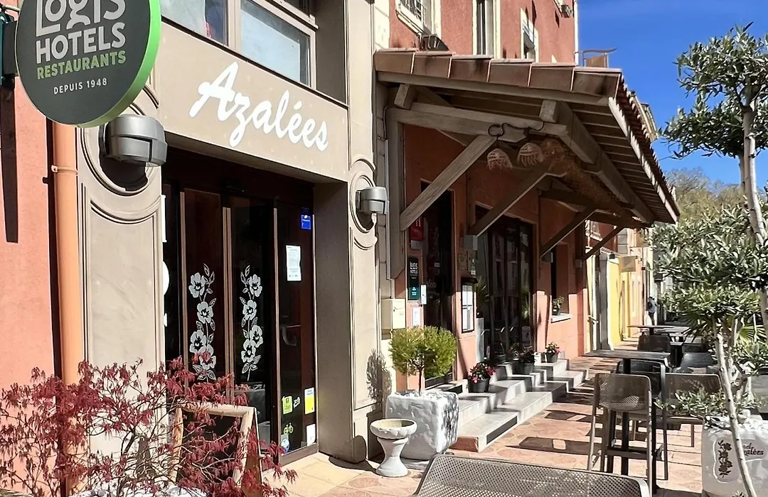 Azalées-1