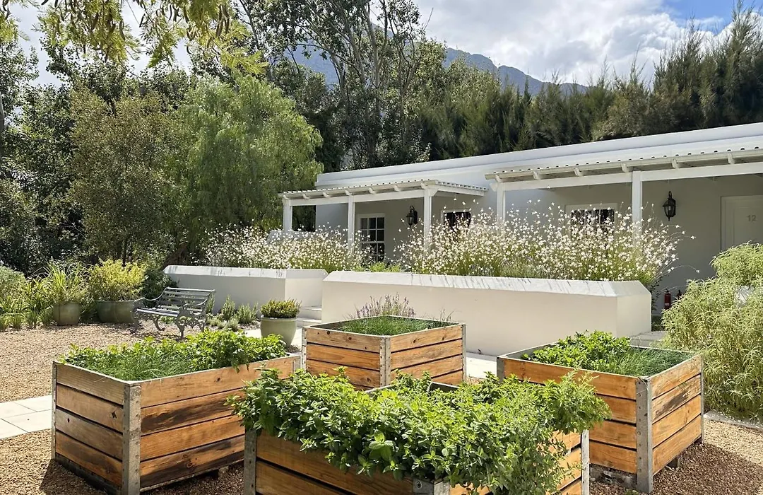 Lavender Farm Boutique Guest House-1