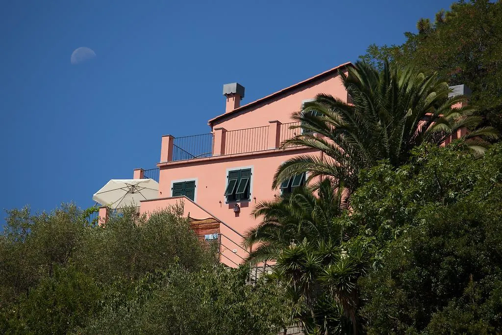 Il Nettare-1