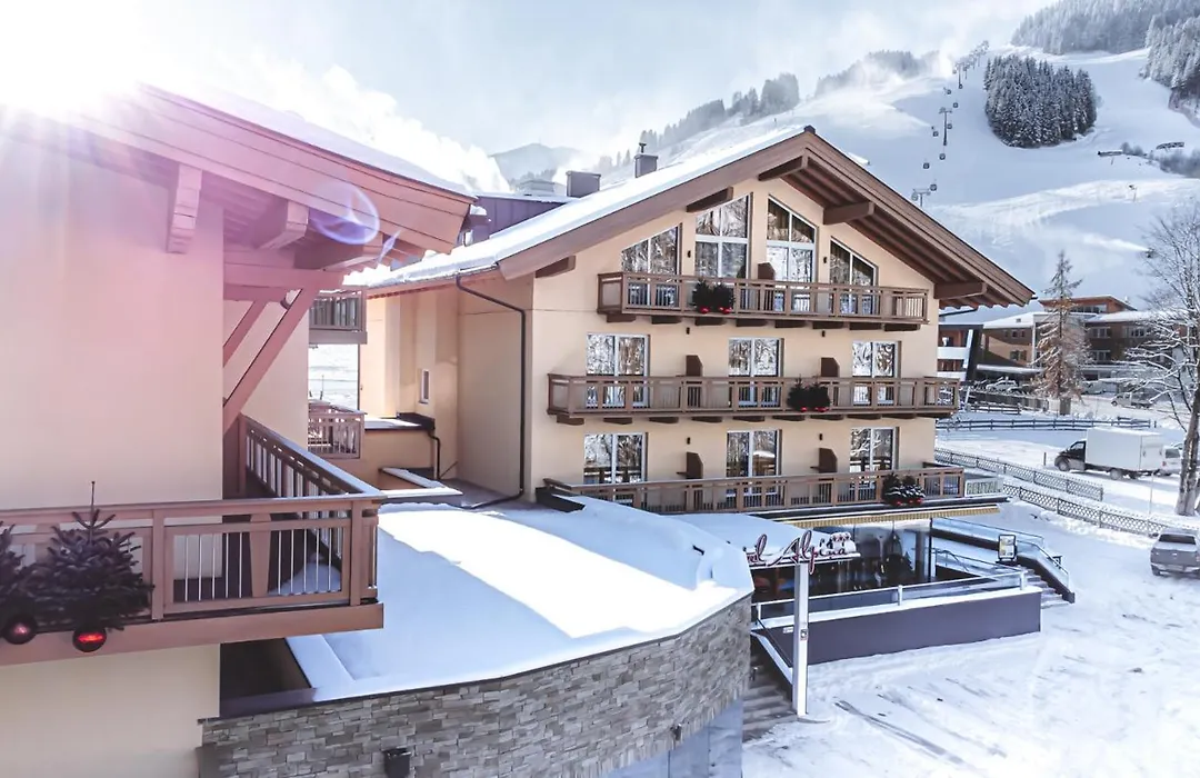 Hotel ALPINA-1