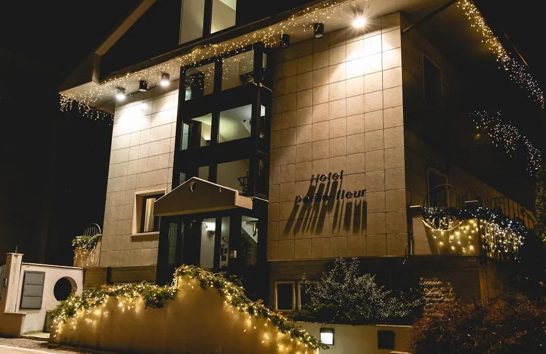Hotel Petite Fleur-1