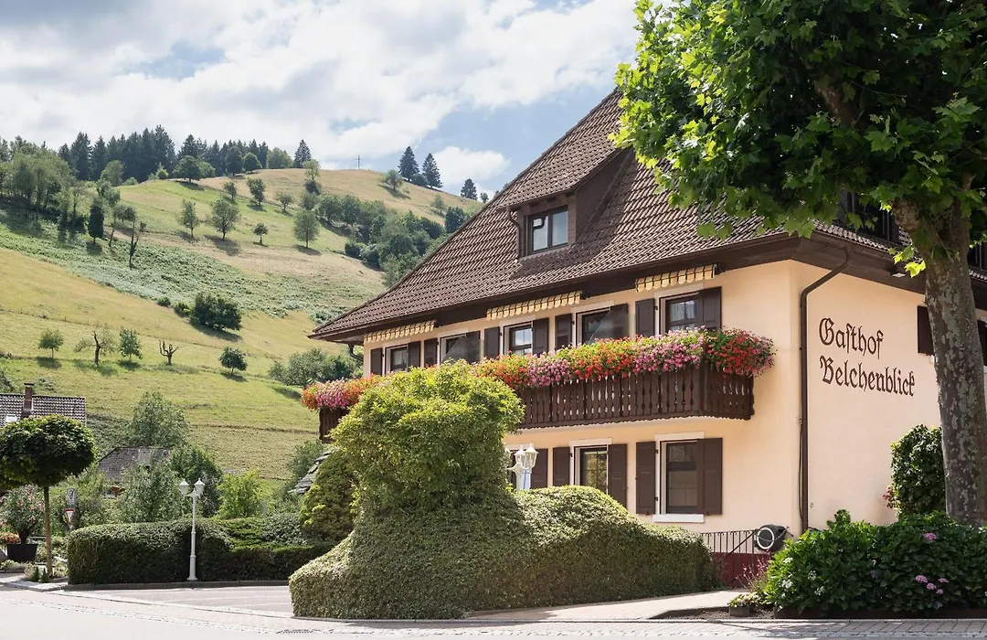 Gasthof Belchenblick-1