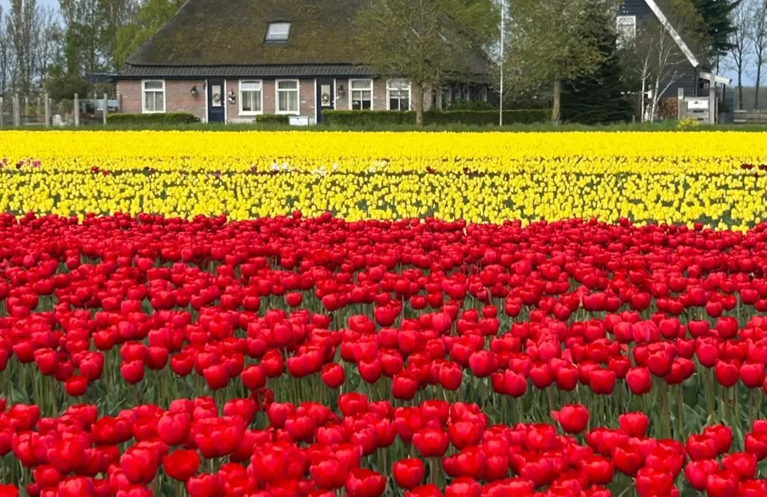 B&B Idylle aan Zee incl 2 Wellnessstudios-1