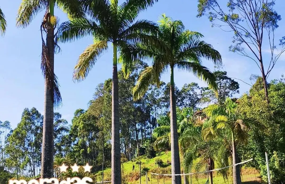 Hotel Moradas do Penedo-1