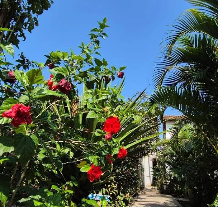 Pousada Vila Dendê-1