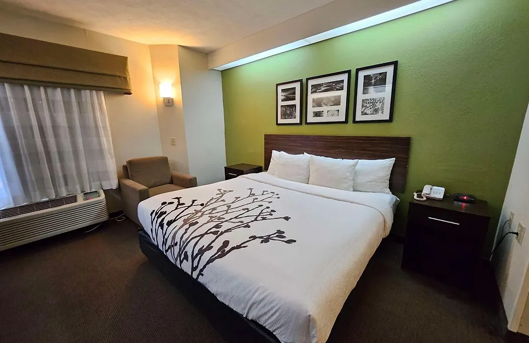 Surestay By Best Western Summerville Flowertown-1