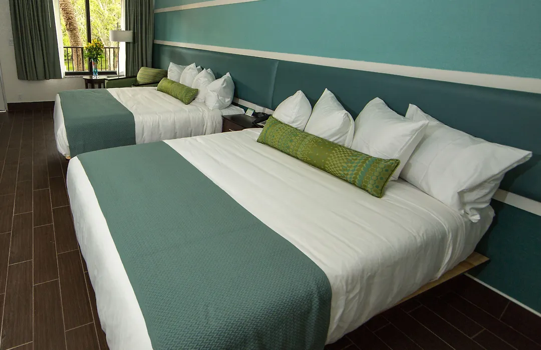 The Flagler Inn - Saint Augustine-1