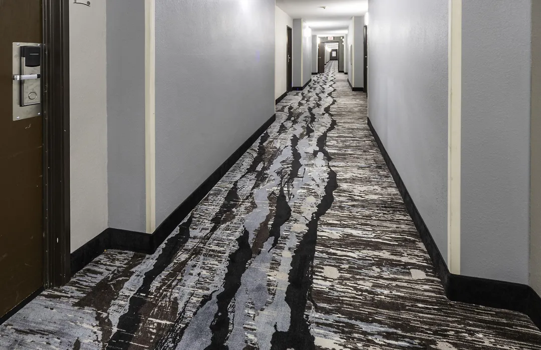 Quality Inn & Suites Danville East-1