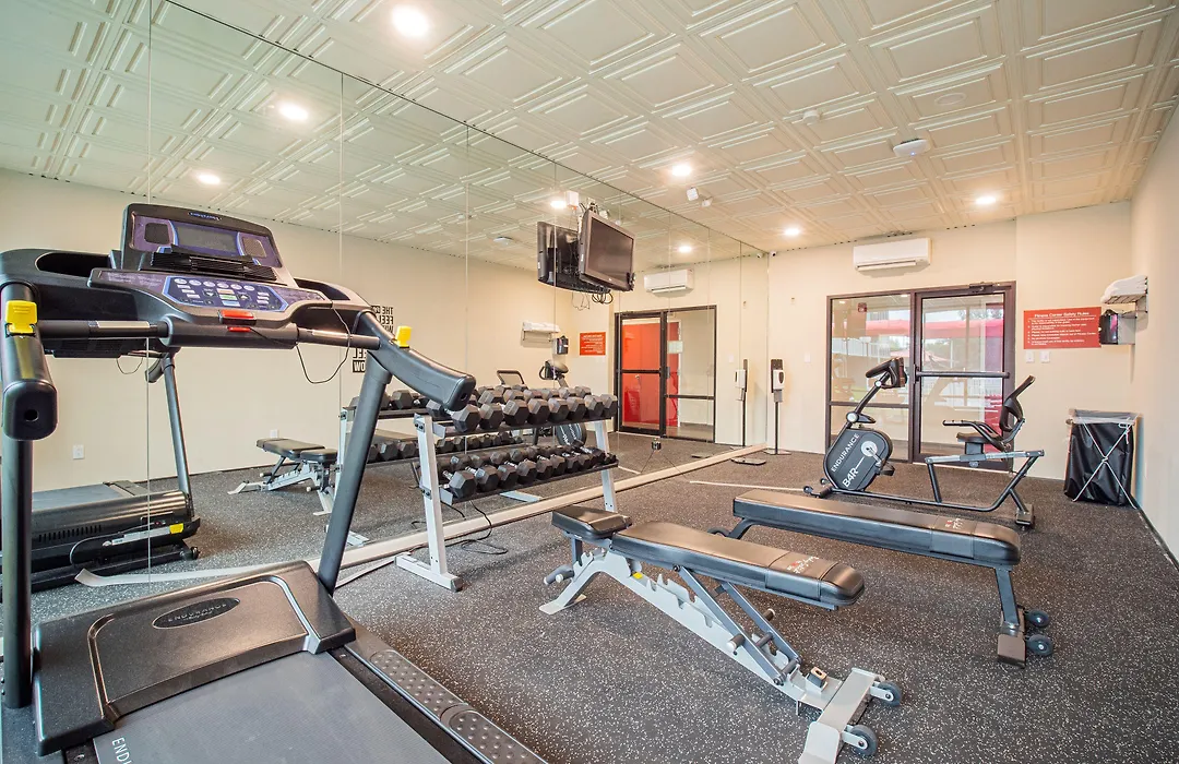 Equus Inn I75-1