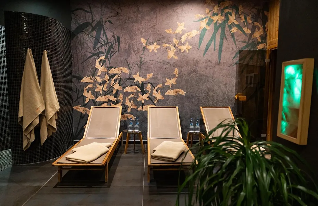 Hotel Szara Willa-1