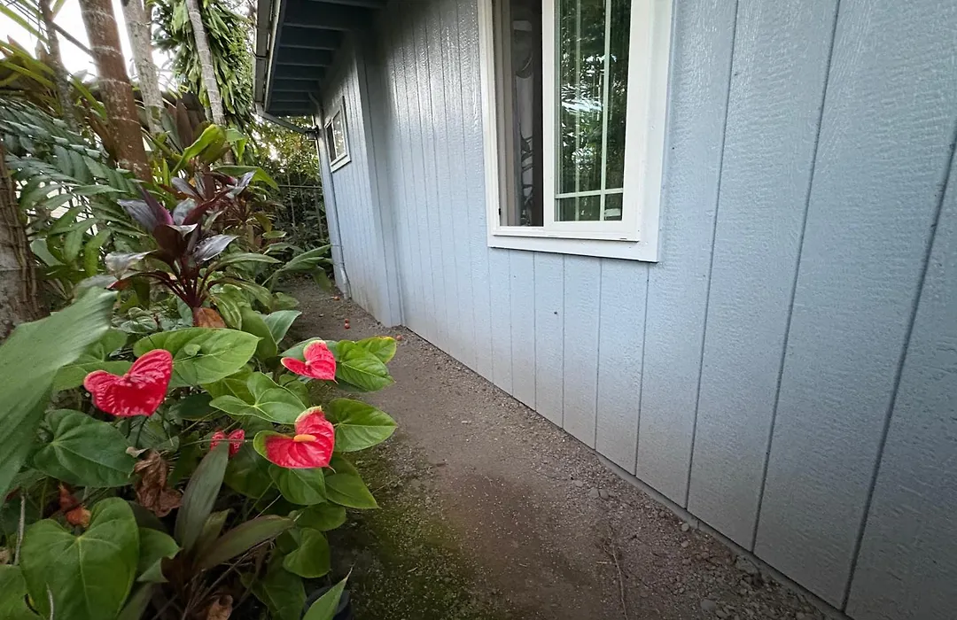 Hawaiian Ohana Home-1