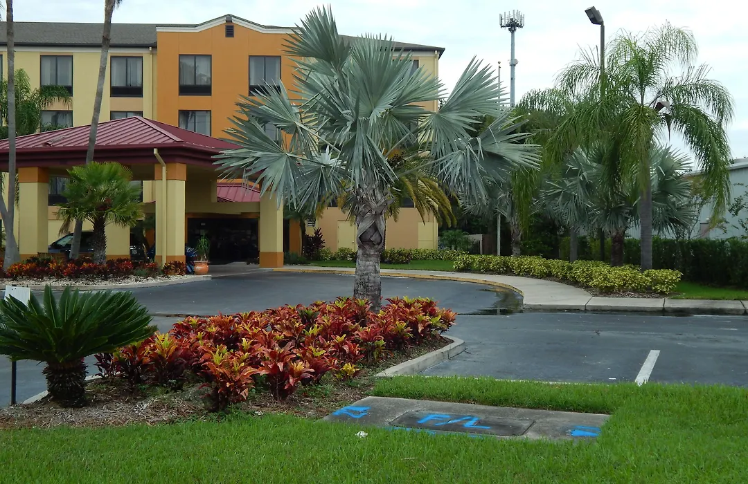 Comfort Suites Tampa - Brandon-1