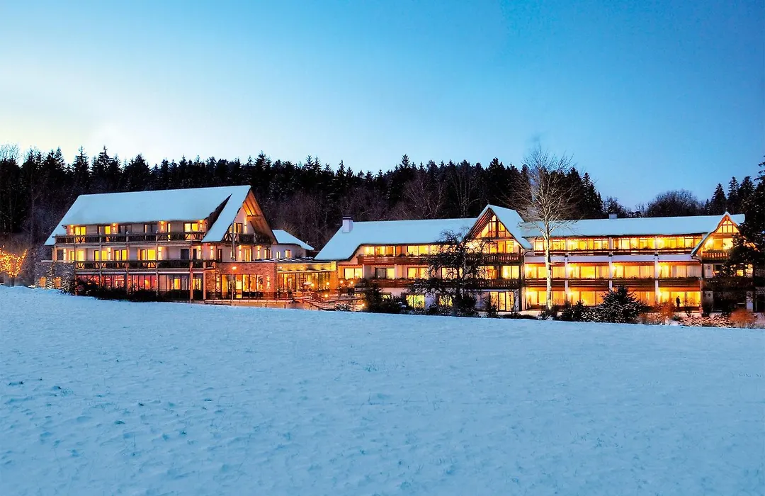 Hotel Grüner Wald-1