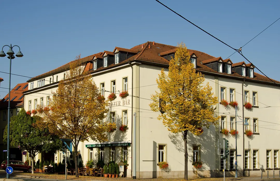 Schwarzer Bär Jena-1
