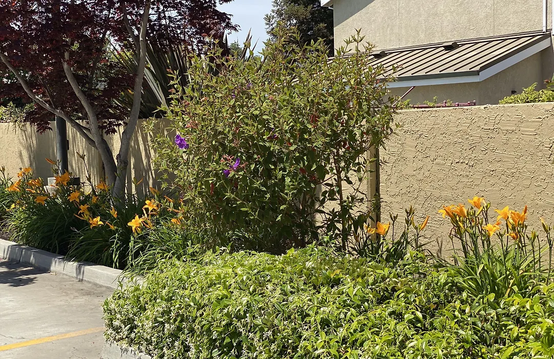 Holiday Inn Express Redwood City Central By Ihg-1