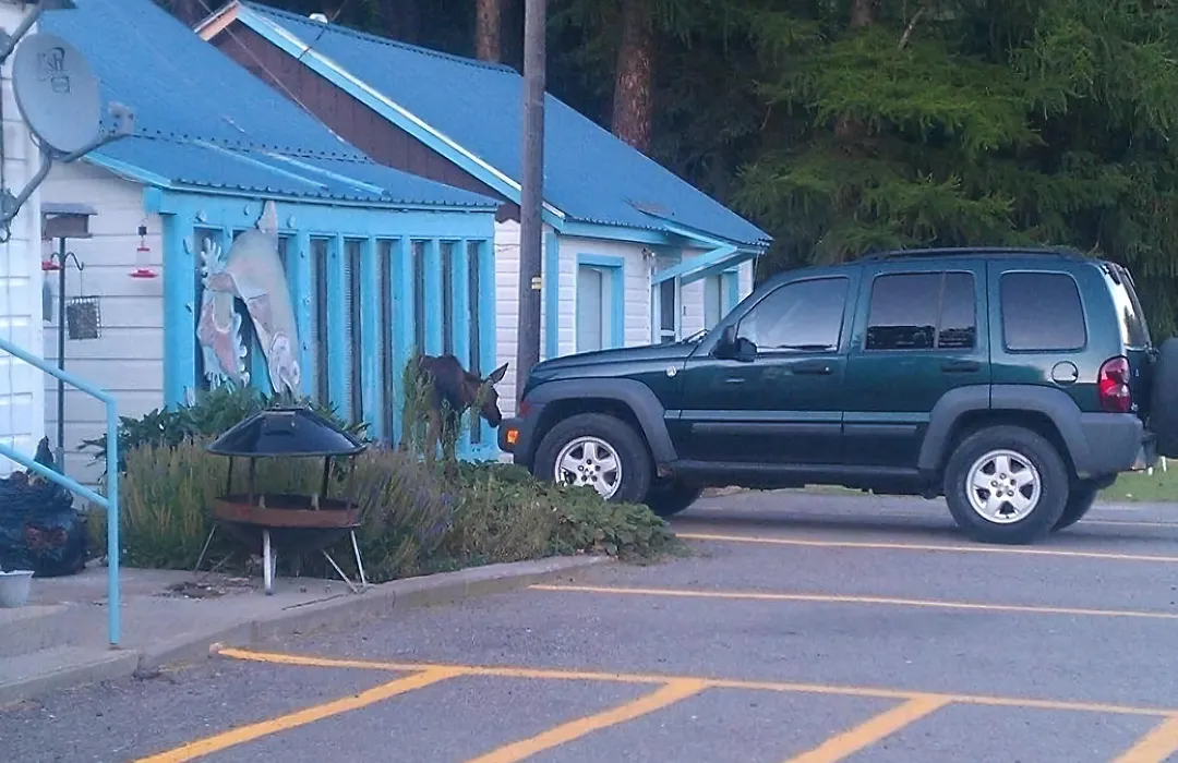 Little River Motel Saint Regis-1