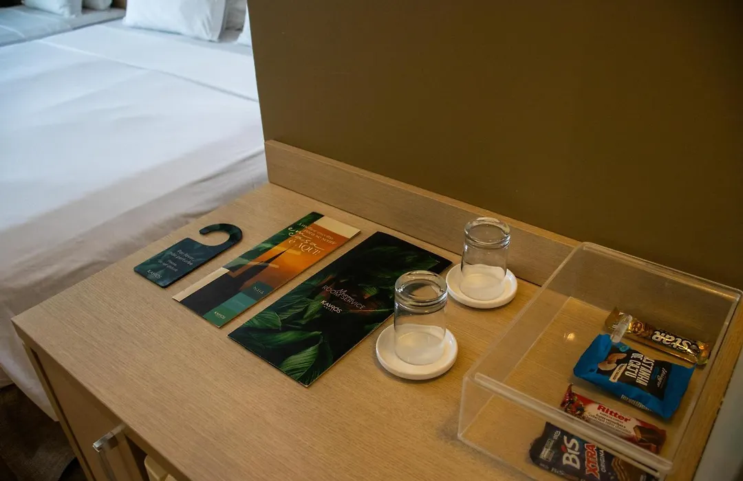 Kayrós Business Hotel-1