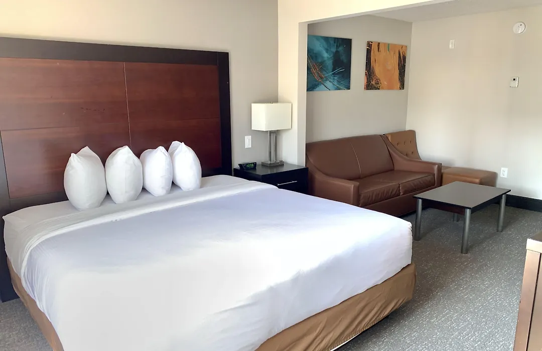 Wingate By Wyndham Atlanta Galleria/ Ballpark-1