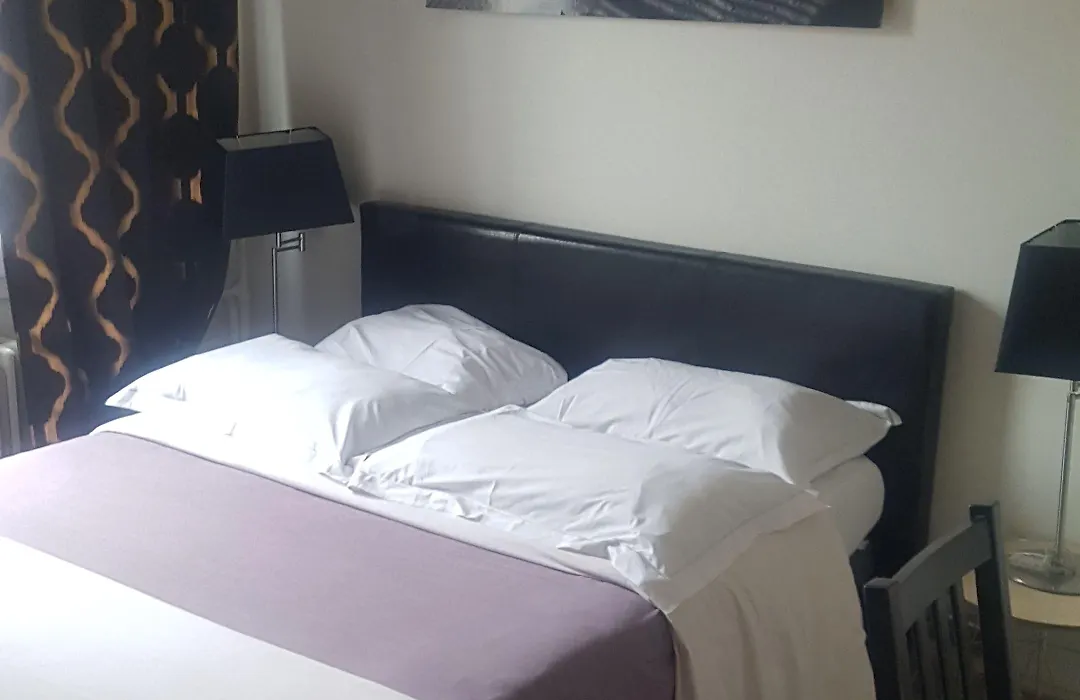Hôtel Le Green-1