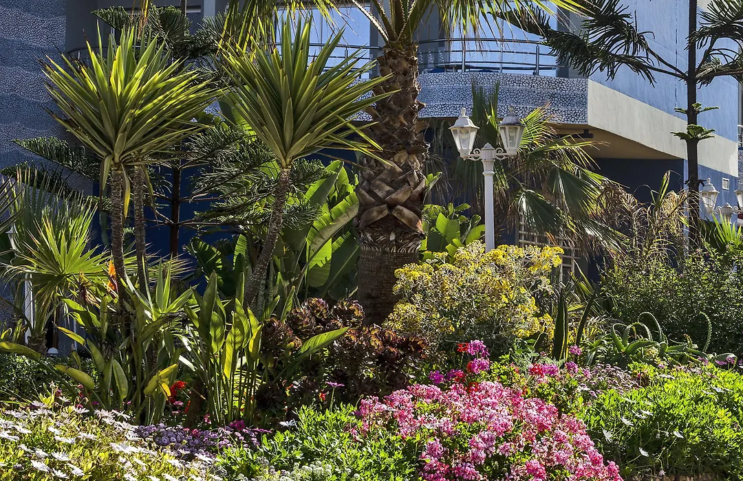 Hotel Club Val D'Anfa Casablanca Ocean View-1