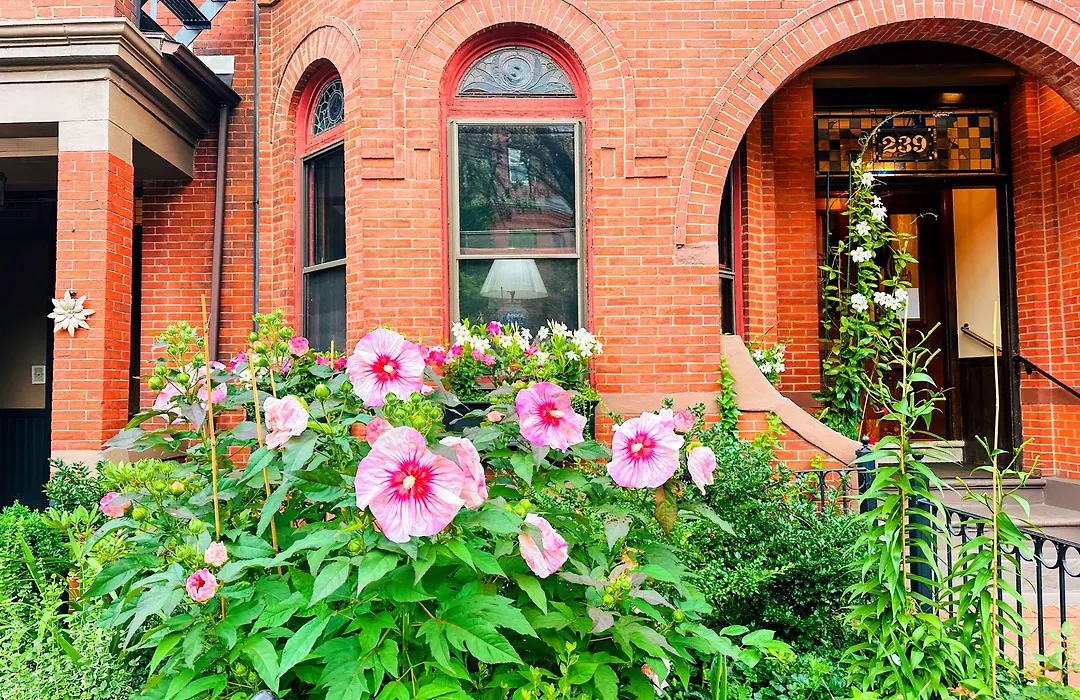 Copley House-1