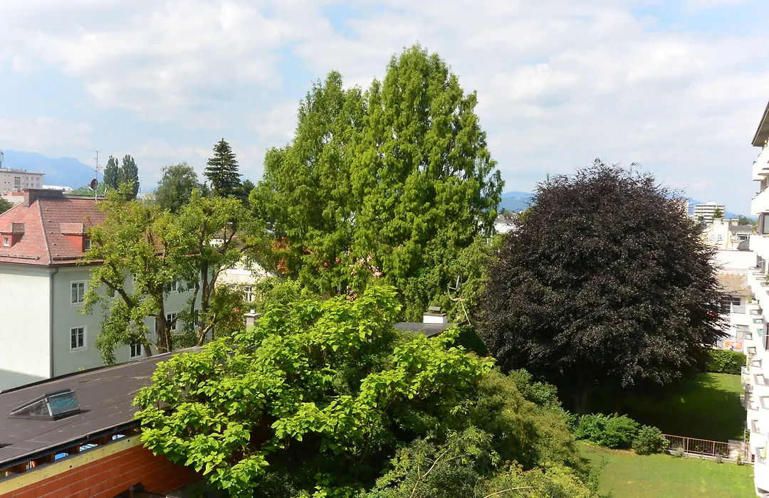 Adlerhof-1