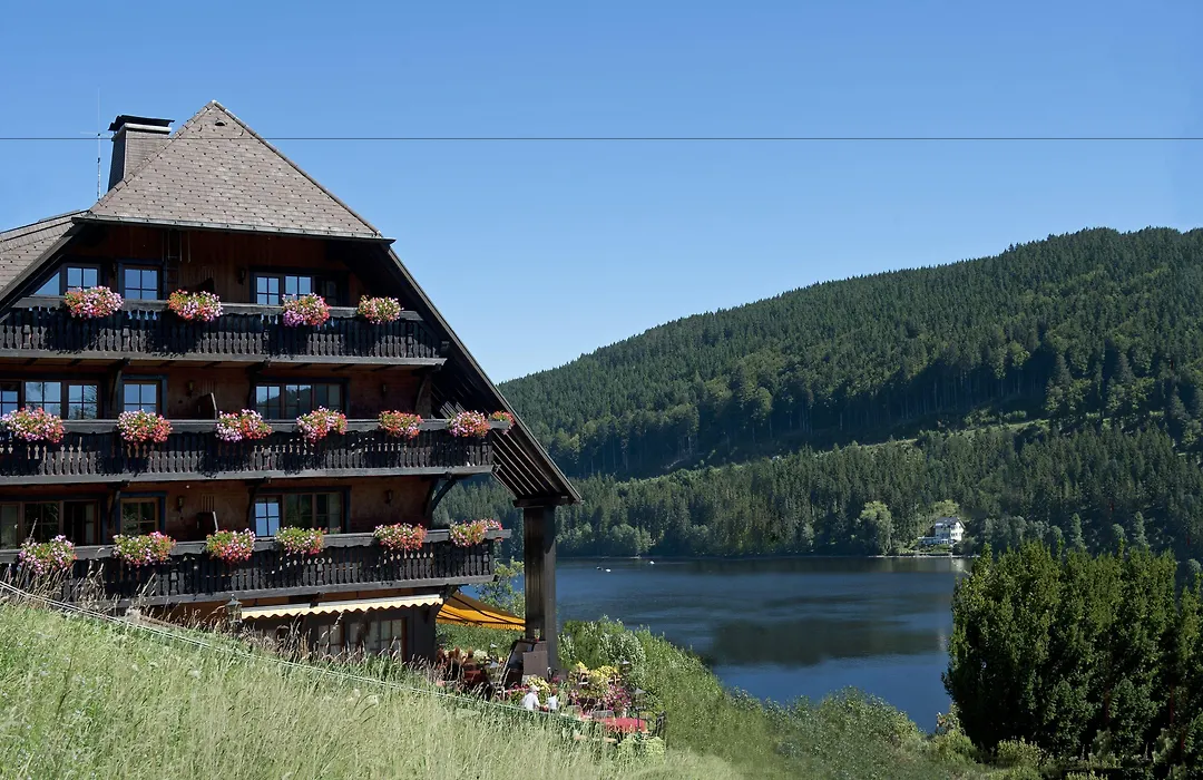 Alemannenhof - Boutique Hotel Am Titisee-1