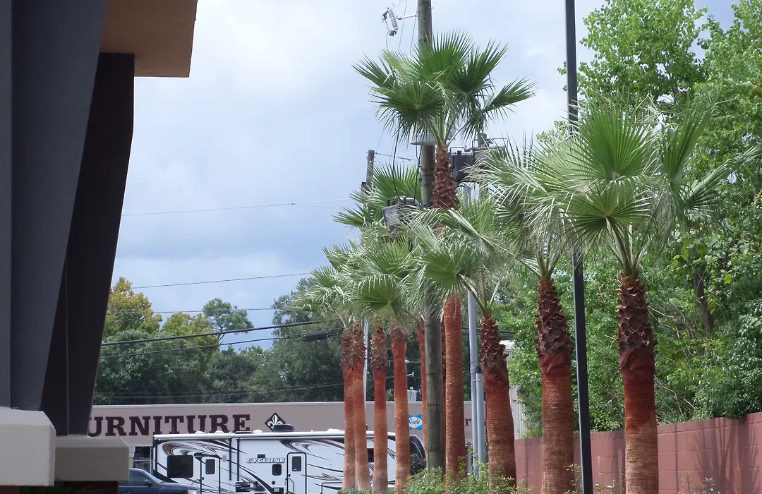 Comfort Suites Lake Charles-1