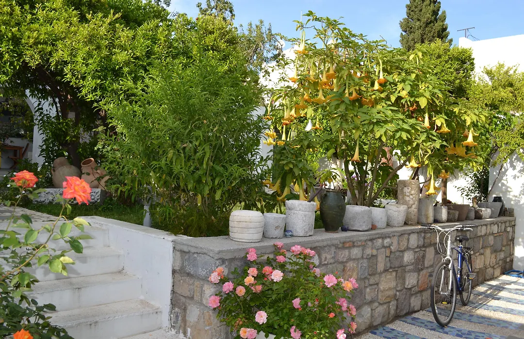 Su Hotel - Bodrum-1