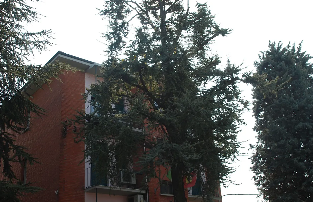 Hotel Tuscolano-1