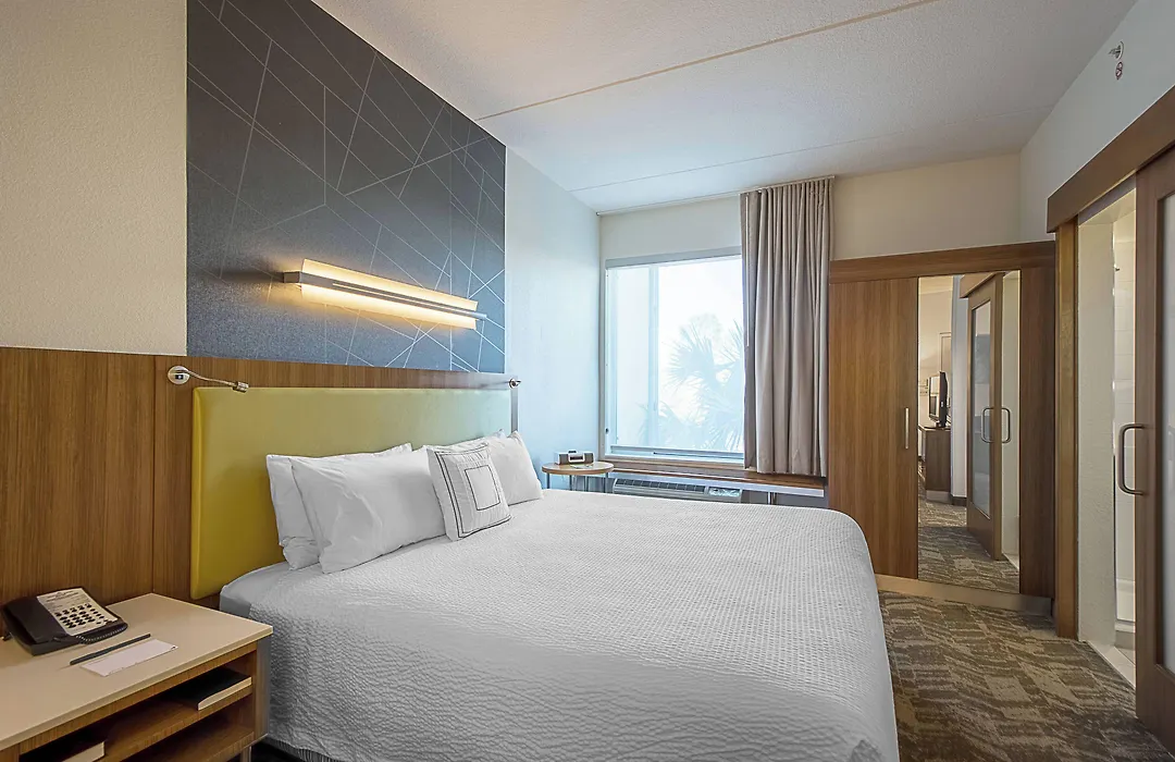 Springhill Suites Tampa North/Tampa Palms-1