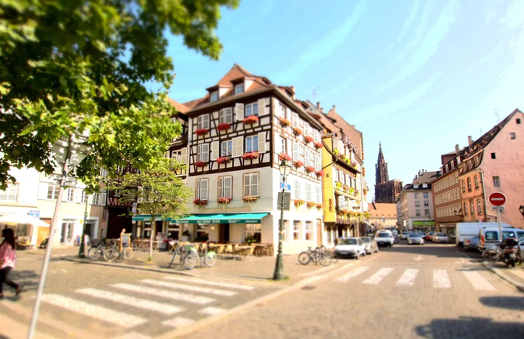 Hotel Restaurant Au Cerf d'Or-1