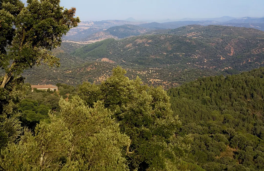 Finca La Fronda-1