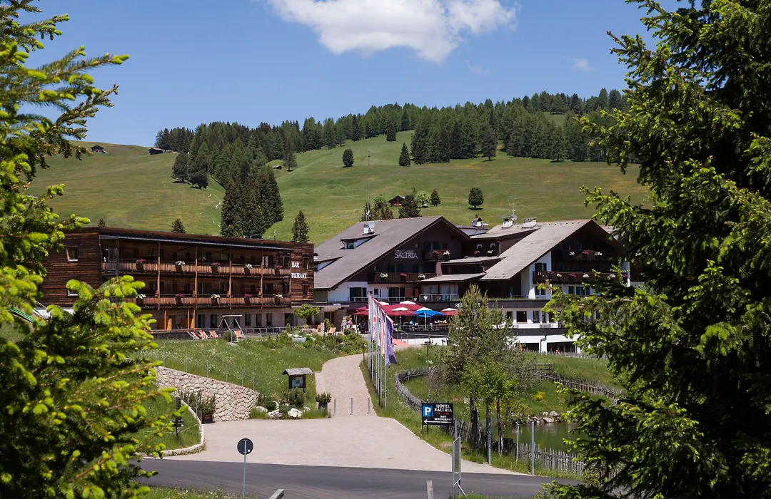 Saltria - Your Alpine Experience-1