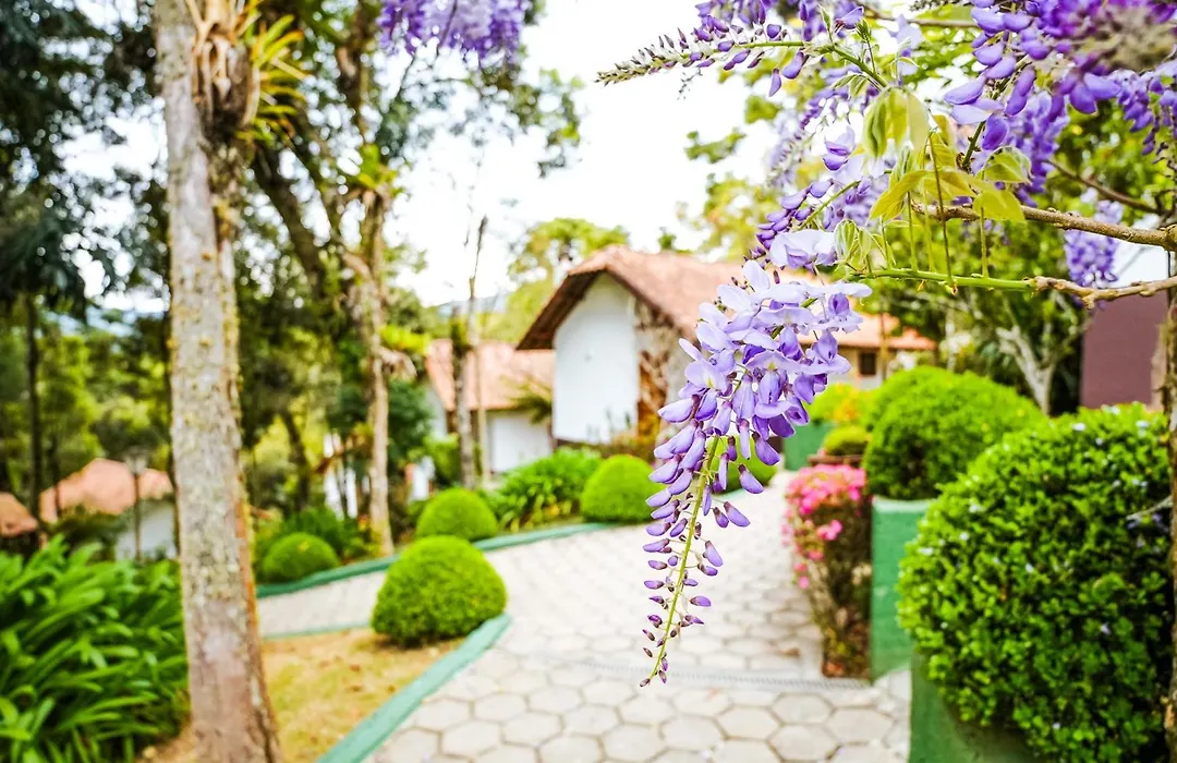 Pousada Jardim da Mantiqueira-1