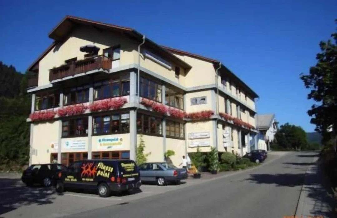 Hotel zum Neckartal Heidelberg-1