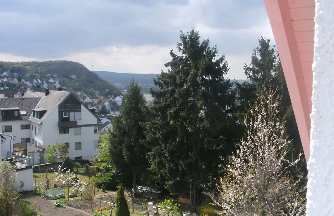 Hotel Rhein-Mosel-View-1