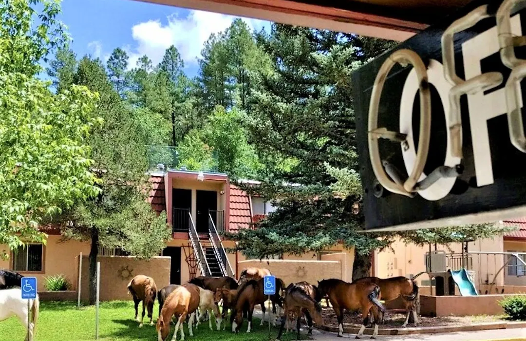 Pinecliff Village Resort-1
