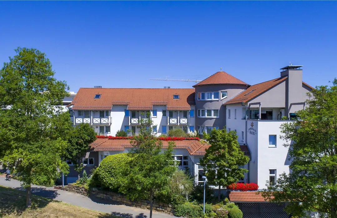 Hotel Landhaus Feckl-1