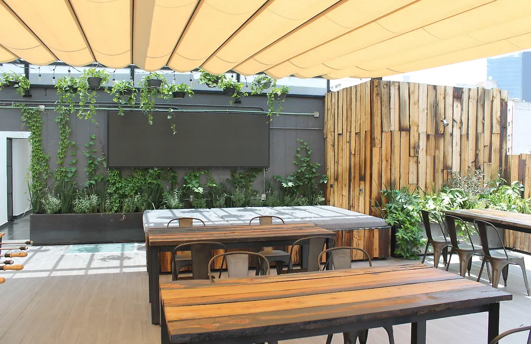 Hotel Mx Mas Roma Cdmx, Trademark Collection By Wyndham-1