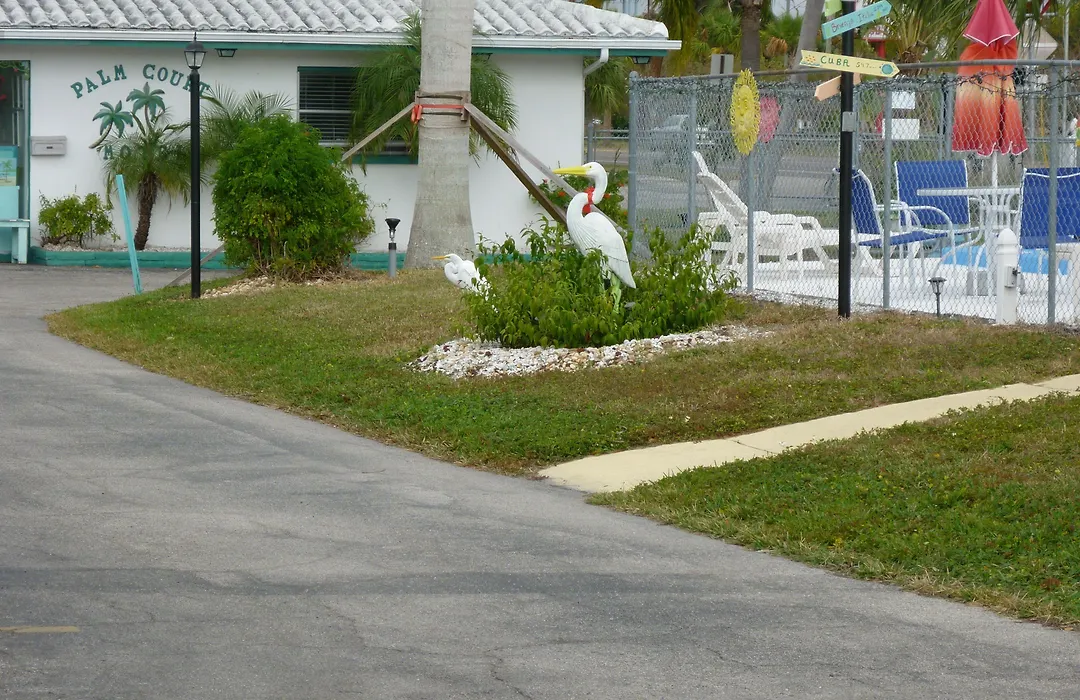 Palm Court Motel-1