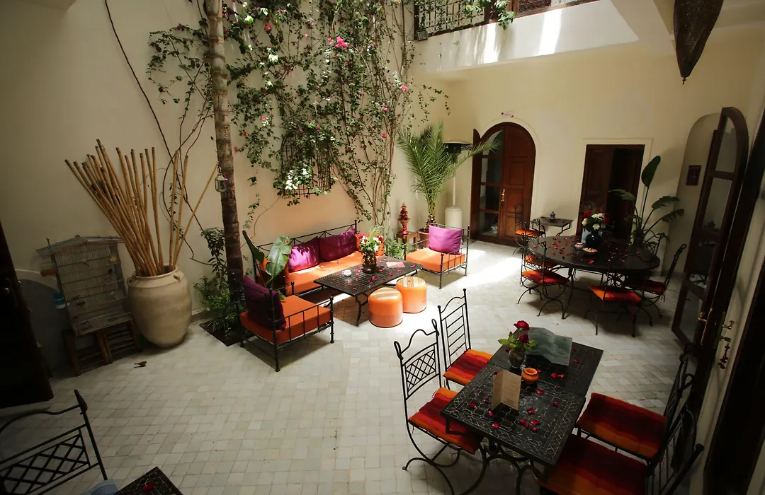 Riad White Flowers-1