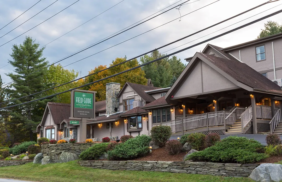 Field Guide Lodge-1