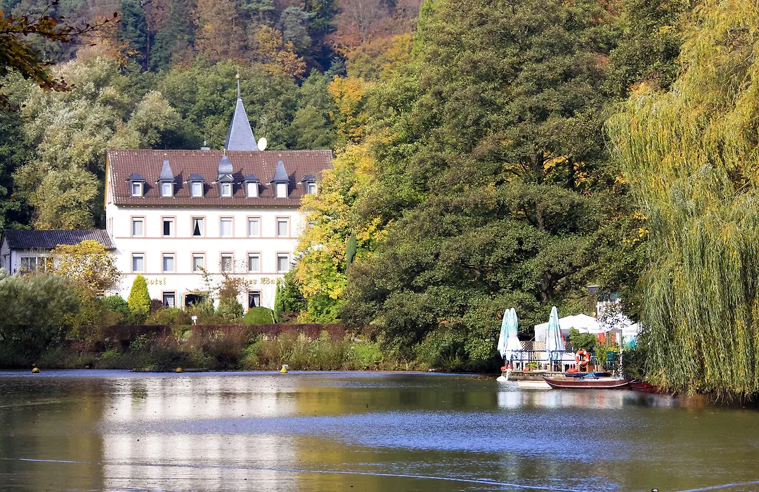 Hotel Pfälzer Wald-1